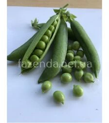 Насіння гороху Кінгсайз, п.о. 2,5 тис. насінин (Spark Seeds)