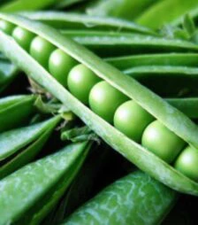 Насіння гороху Преладо, 100 г (Nasko)