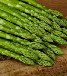 Семена спаржи Бахус F1, п.е. 500 семян (Bejo)