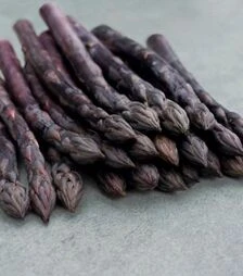 Семена спаржи Эрасмус F1, п.е. 500 семян (Bejo)