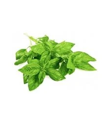 Семена базилика Кира, п.о. 50 тыс. семян (Enza Zaden)