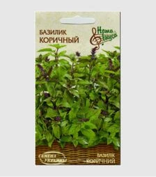 Насіння базиліку Коричний, 25 г (Насіння України)