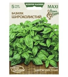 Насіння базиліку Широколистий, 25 г (Насіння України)