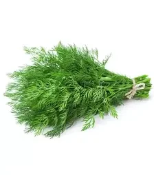 Насіння кропу Брум, 500 г (Lark Seeds)