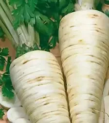 Насіння петрушки Арат, 500 г (Bejo)