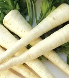 Семена петрушки Халбландж, 500 г (Hortus)