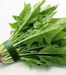 Насіння шпинату Кінг, 1 кг (NongWoo Bio)