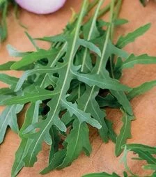 Насіння руколи Летиція, п.о. 100 тис. насінин (Vitalis)