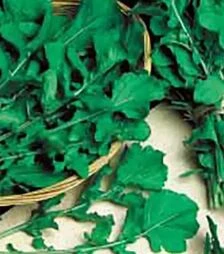 Насіння руколи Колтівата Hortus, 500 г (Коуел)