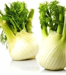 Насіння фенхелю Прелюдіо, п.о. 1 тис. насінин (Vitalis)