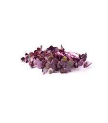 Семена редиса для микрозеленые Риоха, листовые, беби листья, импорт, 1 кг