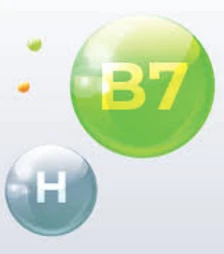 Витамин B7 (вит Н, биотин), 1 кг