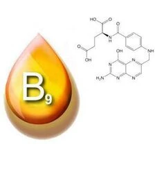 Вітамін В9, Вс, фолієва кислота, 1 кг