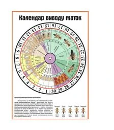 Календар виведення маток (KM0003UK)