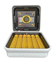 Инкубатор автоматический Теплуша Euro 88 ТАВ 12 (220 В; 12 В)