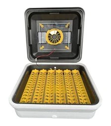 Инкубатор автоматический Теплуша Euro 88 ТАВ (220 В)