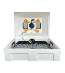 Инкубатор автоматический Теплуша Люкс 72 ЛАВ (220 В)