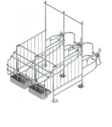 Станок для осеменения П-образная модель 20/2