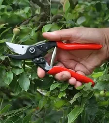 Секатор FELCO 5, 25 мм