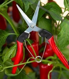 Ножницы для сбора плодов Felco 322 Ø10 мм, 190 мм