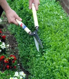 Кусторез Okatsune 217, 535 мм (KST217)