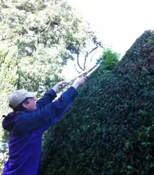 Кусторез Okatsune 230, 780 мм (KST230)