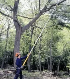 Пила телескопическая Silky Hayate 7700, 420 мм (377-42)