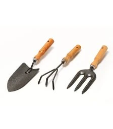 Набір садового інструменту MASTERTOOL Garden WOOD, 3 шт (14-6099)