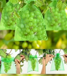Сіточка-рукав для винограду, 21x33 см, для грона до 2 кг