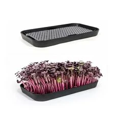 Лоток гидропоника для выращивания микрозеленый (tray-black-abs)