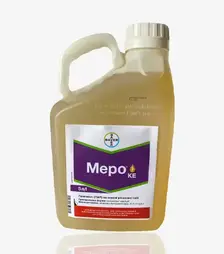 Прилипач Меро, 5 л (Bayer)