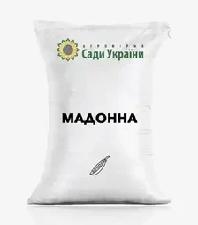 Горох ярий Мадонна, т (Saaten Union)