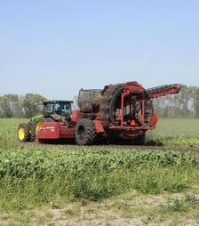 Бурякозбиральний комбайн WIC Amity, 2006 р.в, б/в