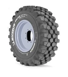 Шина Michelin BIBLOAD H/S 460/70-R24 159A8/159B TL