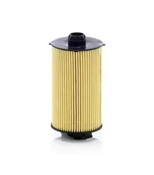 Фільтр масляний Mann-Filter Case New Holland (HU12007x)