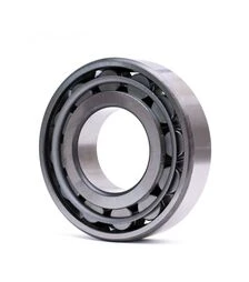 Подшипник роликовый цилиндрический 2313 КМ (10 ГПЗ)