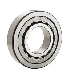 Подшипник цилиндрический роликовый 10 ГПЗ (12507 (12507АЭУ) (N2207EC/P6) (10ГПЗ/СТ-Агры))