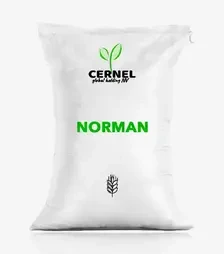 Ячмінь озимий Norman (Норман), т (Cernel Global Holding NV)