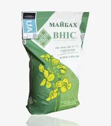Ріпак озимий Майбах, п.о. 1 500 тис. насінин (Вніс)
