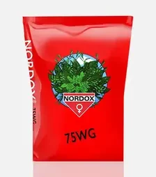 Фунгицид Нордокс, 1 кг (Родонит)