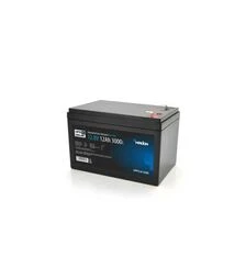 Аккумуляторная батарея Merlion LiFePo4 LFP12,8-12US (LFP12.8-12US)