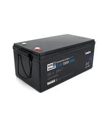 Аккумуляторная батарея Merlion LiFePo4 LFP25,6-100US, 25,6 В, 100 А*ч (LFP25.6-100US)