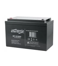 Аккумуляторная батарея EnerGenie AGM, 12 В, 100 A*ч (BAT-12V100AH)