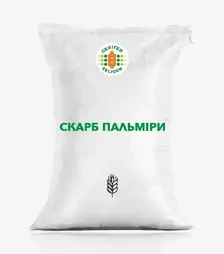 Ячмінь озимий Скарб пальміри (дворучка), т (Селекційно-генетичний інститут – Національний центр насі