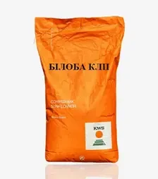 Соняшник Білоба КЛП, п.о. 150 тис. насінин (KWS)