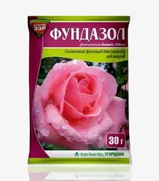 Протравитель Фундазол, 30 г (Сектор СЗР)