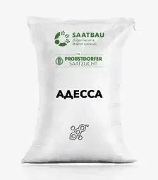 Соя Адесса, т (Saatbau)