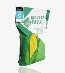 Кукуруза ВН 6763, п.е. 80 тыс. семян (Внис)
