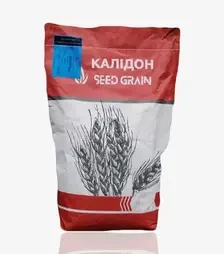 Пшениця озима Калідон, т (Seed Grain)