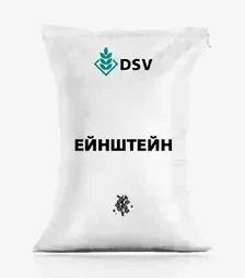 Ріпак озимий Ейнштейн, п.о. 1 500 тис. насінин (DSV)